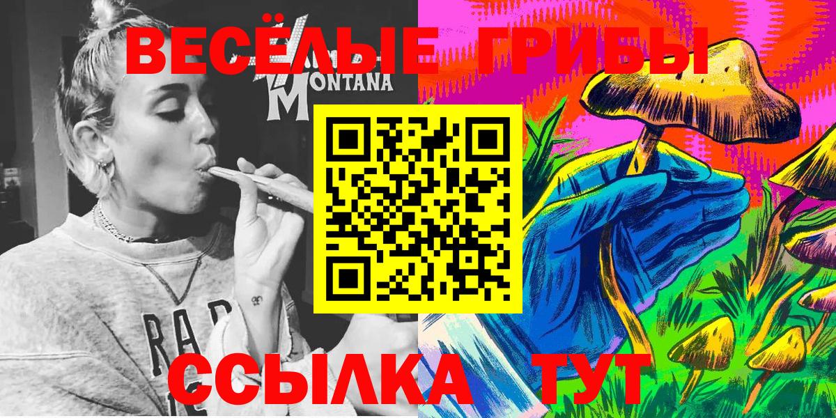 Псилоцибиновые грибы Cubensis  Галлюциногенные грибы Psilocybine cubensis  Вход с VPN  Осинники 